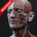 Anatomie du Corps-nouveau APK