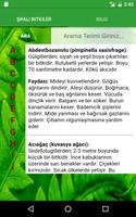Şifalı Bitkiler Ansiklopedisi plakat