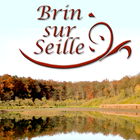 Ville de Brin sur Seille icône