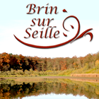 Ville de Brin sur Seille আইকন