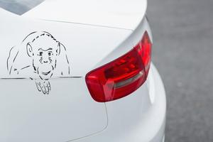 Vinyl Car Stickers ภาพหน้าจอ 1