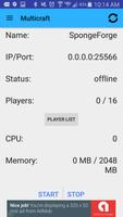 Multicraft captura de pantalla 2