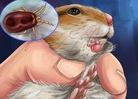 Treating Hamsters For Mites imagem de tela 3