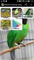 Master Cucak Ijo Lengkap poster