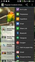 Popular Lovebird Chirping 스크린샷 1