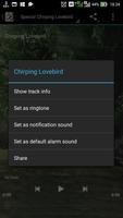 Popular Lovebird Chirping syot layar 2