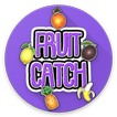 FruitCatch