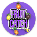 FruitCatch APK