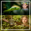 Snake Photo Frame