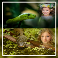 Snake Photo Frame