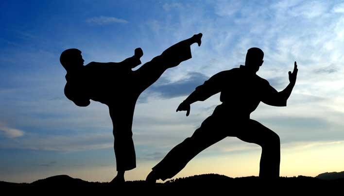 Martial Arts Training cho Android - Tải về APK