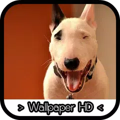 Bull Terrier Wallpapers APK for Android – Download Bull Terrier Wallpapers APK Latest Version from Bull Terrier Wallpapers APK for Android – Download Bull Terrier Wallpapers APK Latest Version from
