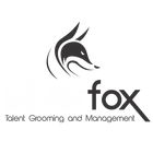 Silver Fox icono