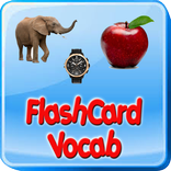 Flashcards Vocab