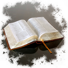 Bible Trivia Challenge icono