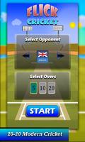 Flick Cricket Ekran Görüntüsü 1