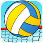 volleyball rules-icoon