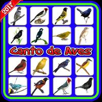 Canto de Aves 포스터