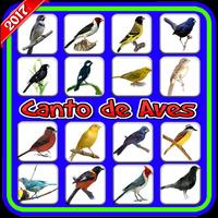 Canto de Aves Affiche