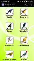 Canto de Aves ảnh chụp màn hình 1