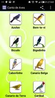 Canto de Aves 스크린샷 1