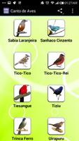 Canto de Aves 스크린샷 2