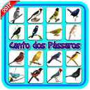 Canto de Pássaros Silvestres APK