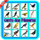 Canto de Pássaros Silvestres biểu tượng