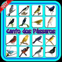 Canto de Pássaros Silvestres bài đăng