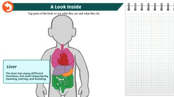 Sierra's Journey to Health: Life with a New Liver poster