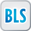 Build Lasting Success (BLS)