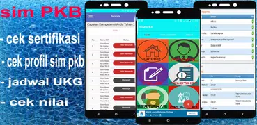 SIM PKB CEK SERTIFIKASI GURU