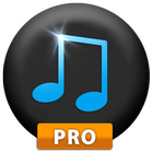Music Paradise Pro आइकन