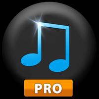 Music Paradise Pro স্ক্রিনশট 1