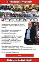 Falcon Branding Program imagem de tela 2