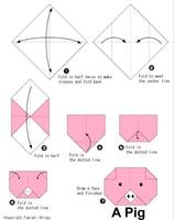 Simple origami instructions captura de pantalla 1