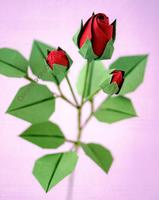 Einfache Origami Rose Tutorials Screenshot 1