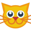 ”Kitty Facts