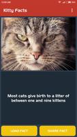 Kitty Facts Affiche
