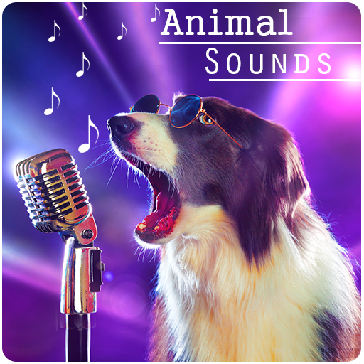 Animal Sounds