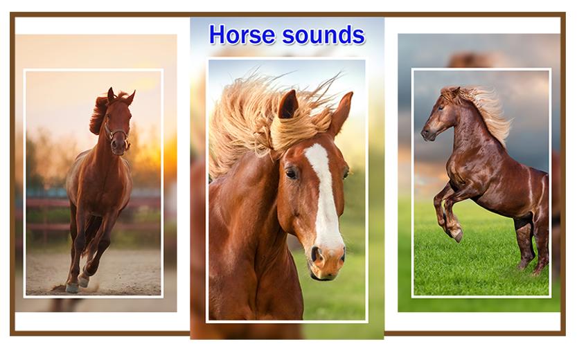 Топот лошадей звук. Звук лошади много. Как сделать звук лошади. Звуки лошади на английском. Звуки лошади слушать.