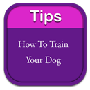 How To Train Your Dog APK