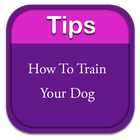 How To Train Your Dog icône