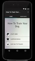 How To Train Your Dog Affiche