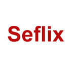 Seflix - NETFLIX Secret Genres icône