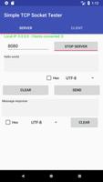 Simple TCP Socket Tester 截图 1