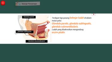 Biologi SMA : Sistem Kehidupan Vertebrata (2) 截图 2