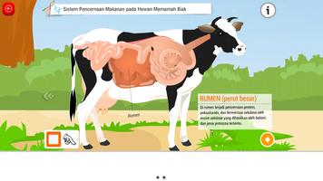 Biologi SMA : Sistem Kehidupan Vertebrata (2) 截图 3