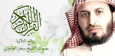 القرآن الكريم - سعد الغامدي - 