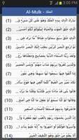 Quran capture d'écran 2
